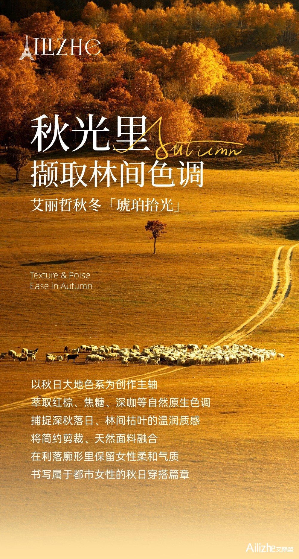 秋光里2.jpg