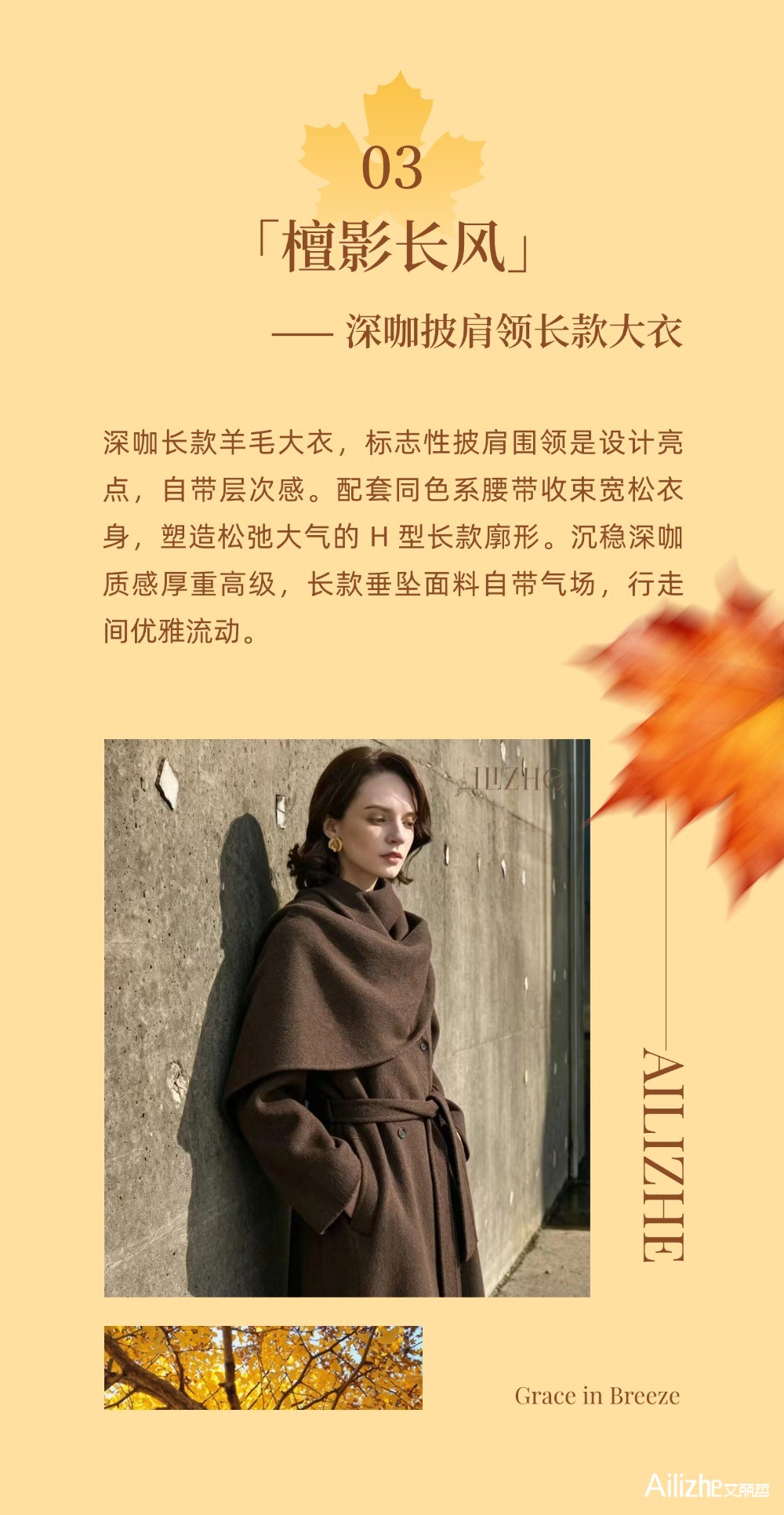 秋光里2 (4).jpg